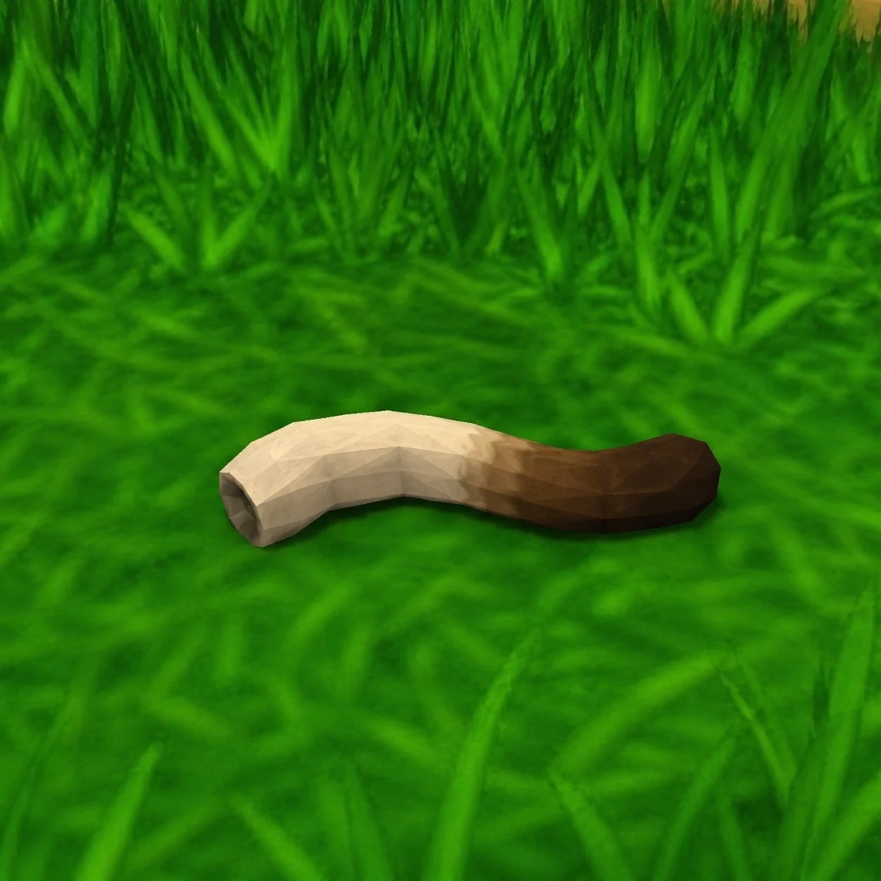 Last known photo of the tail